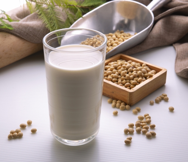 Concentrated raw soy milk